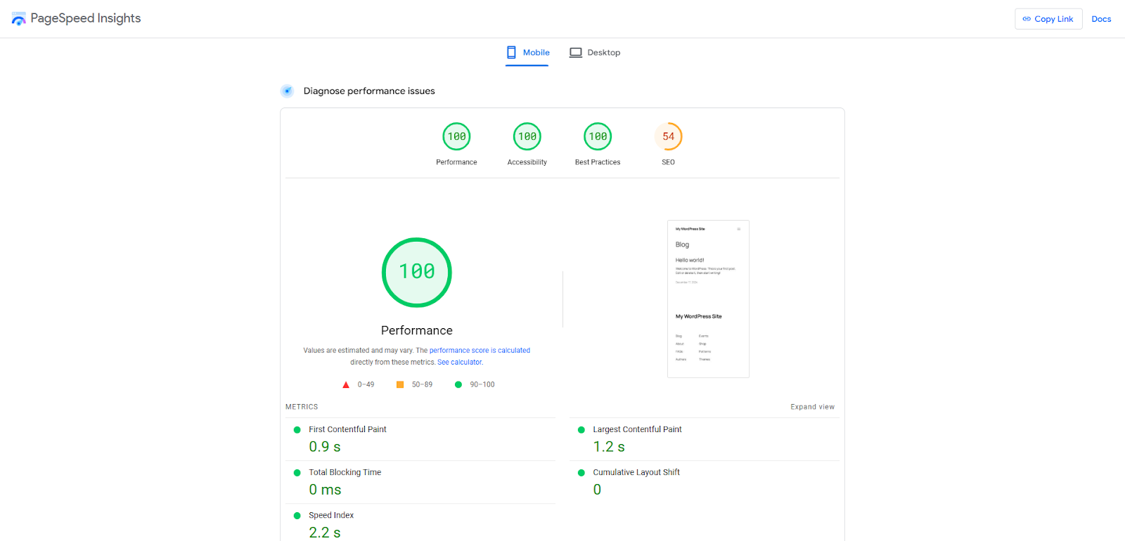 screenshot of Google PageSpeed Insights