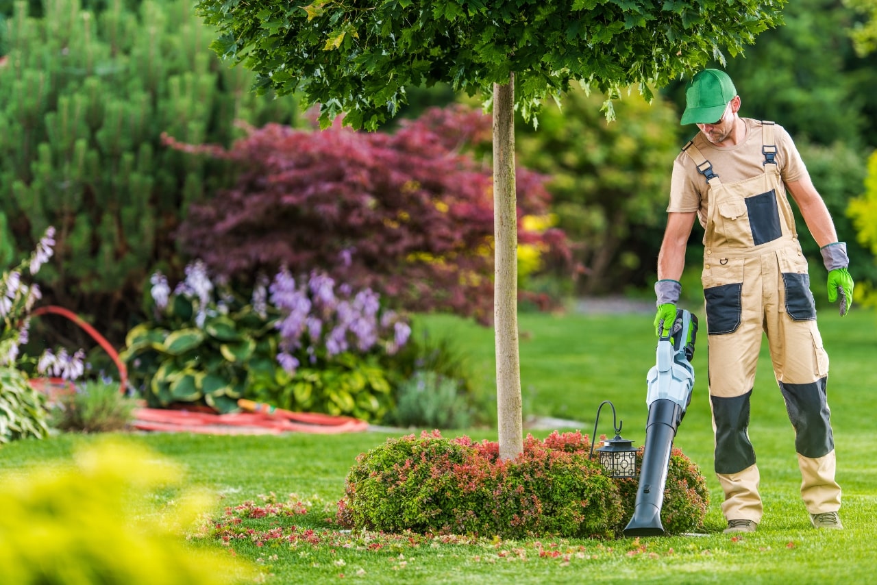 A man with modern electric cordless leaf blower cleans backyard garden.