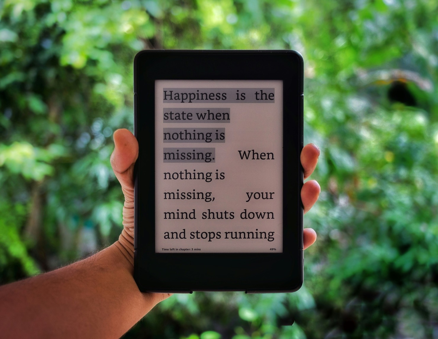 An ebook's content.
