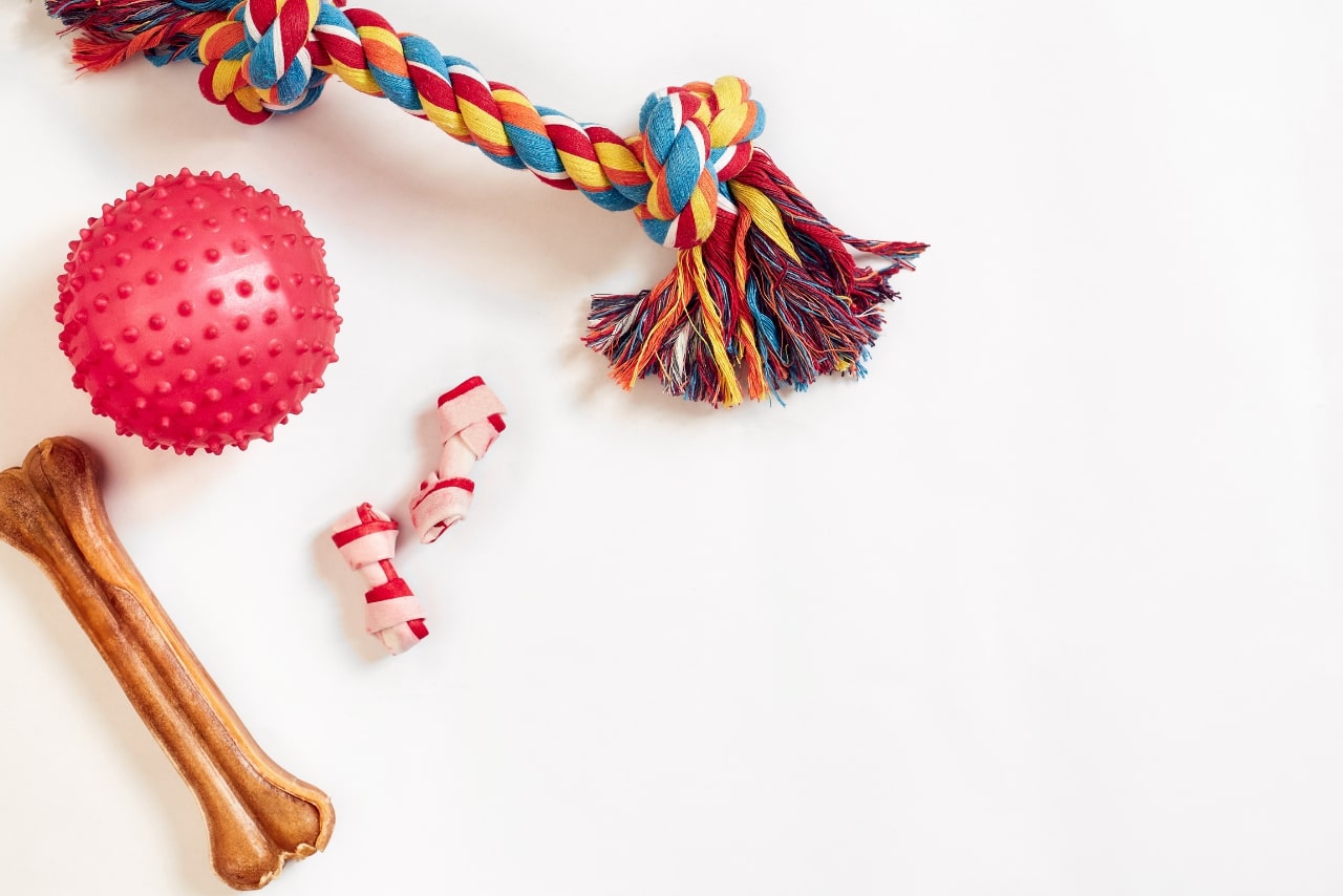Dog Toys Set: Colorful Cotton Dog Toy and Pink Ball on a White Background.