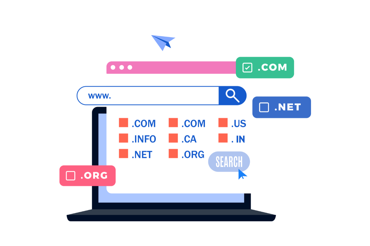Laptop screen showing choices of domain types.