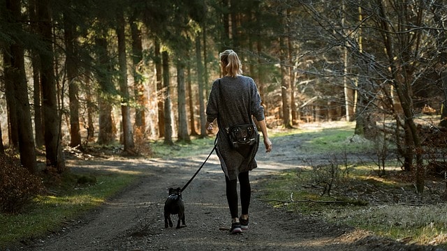 Woman walking a dog in a forest.