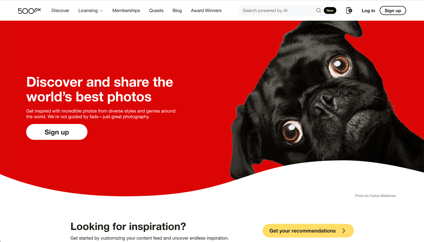 500px website