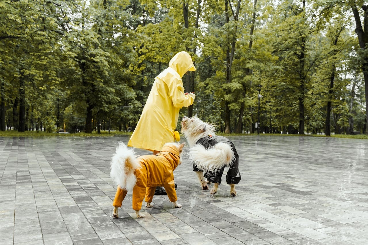 A person wearing a yellow hooded raincoat