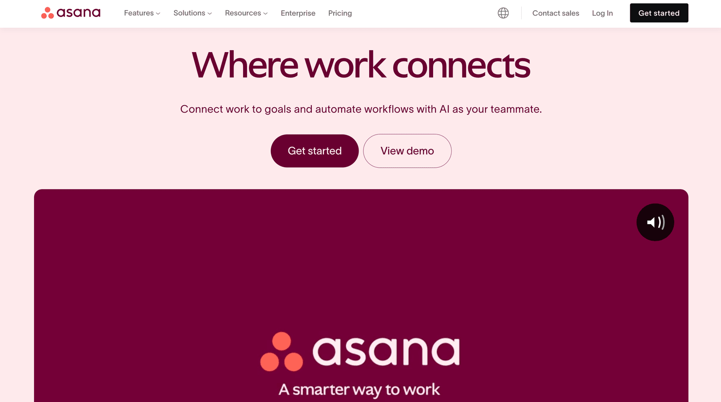 Asana website