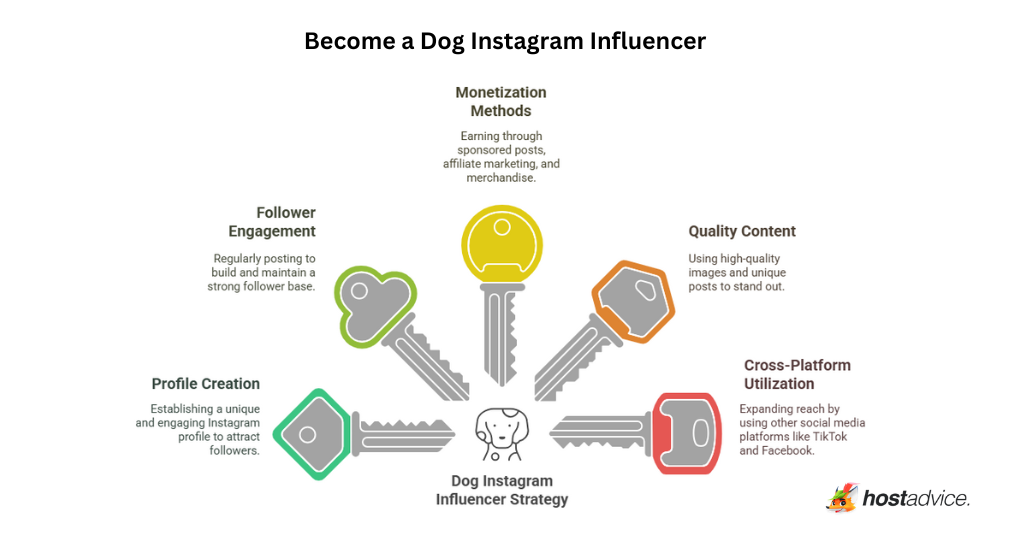 How to Become a Dog Instagram Influencer: an infographic