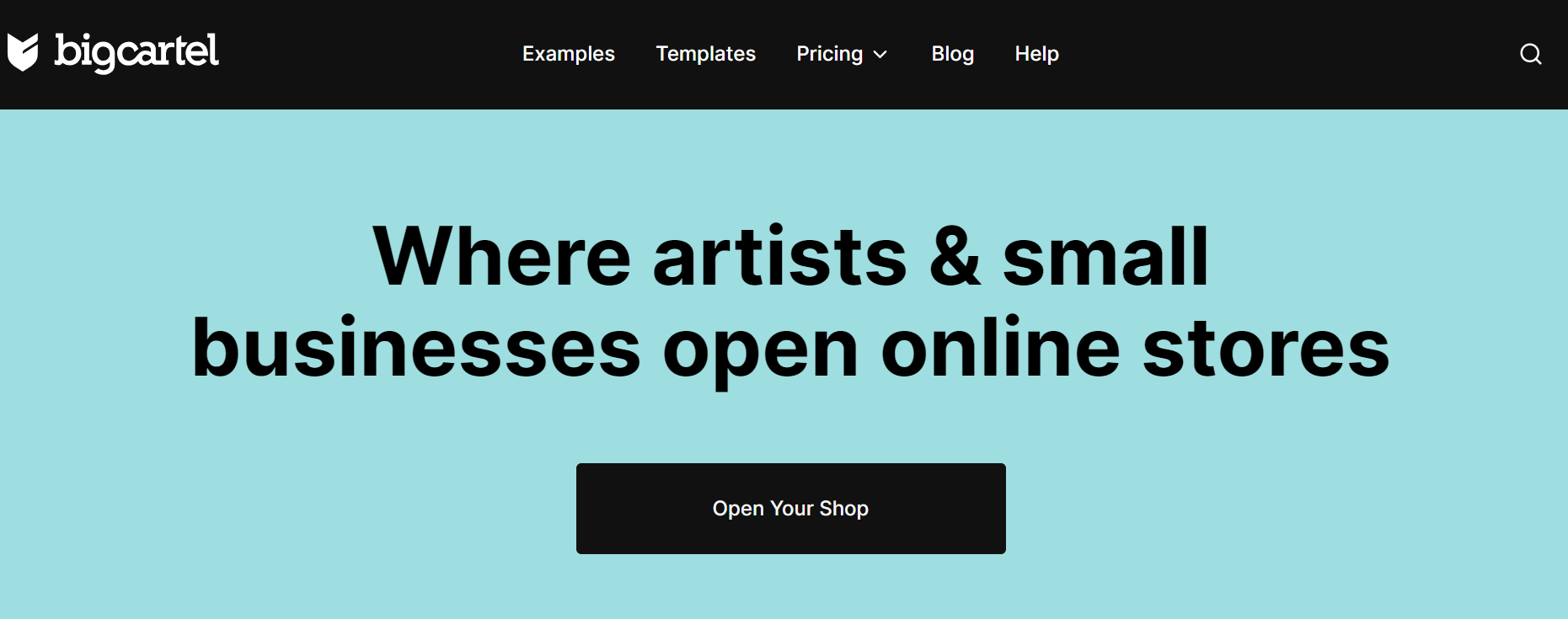 Bigcartel website homepage