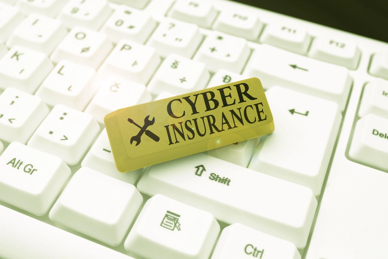 Managing Cyber Risk