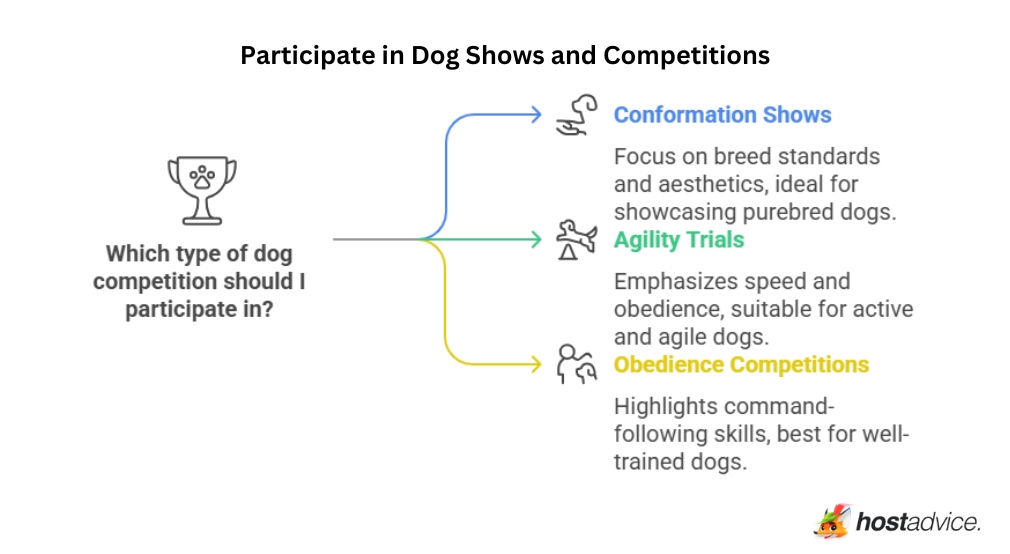 Participate in Dog Shows and Competitions: an infographic