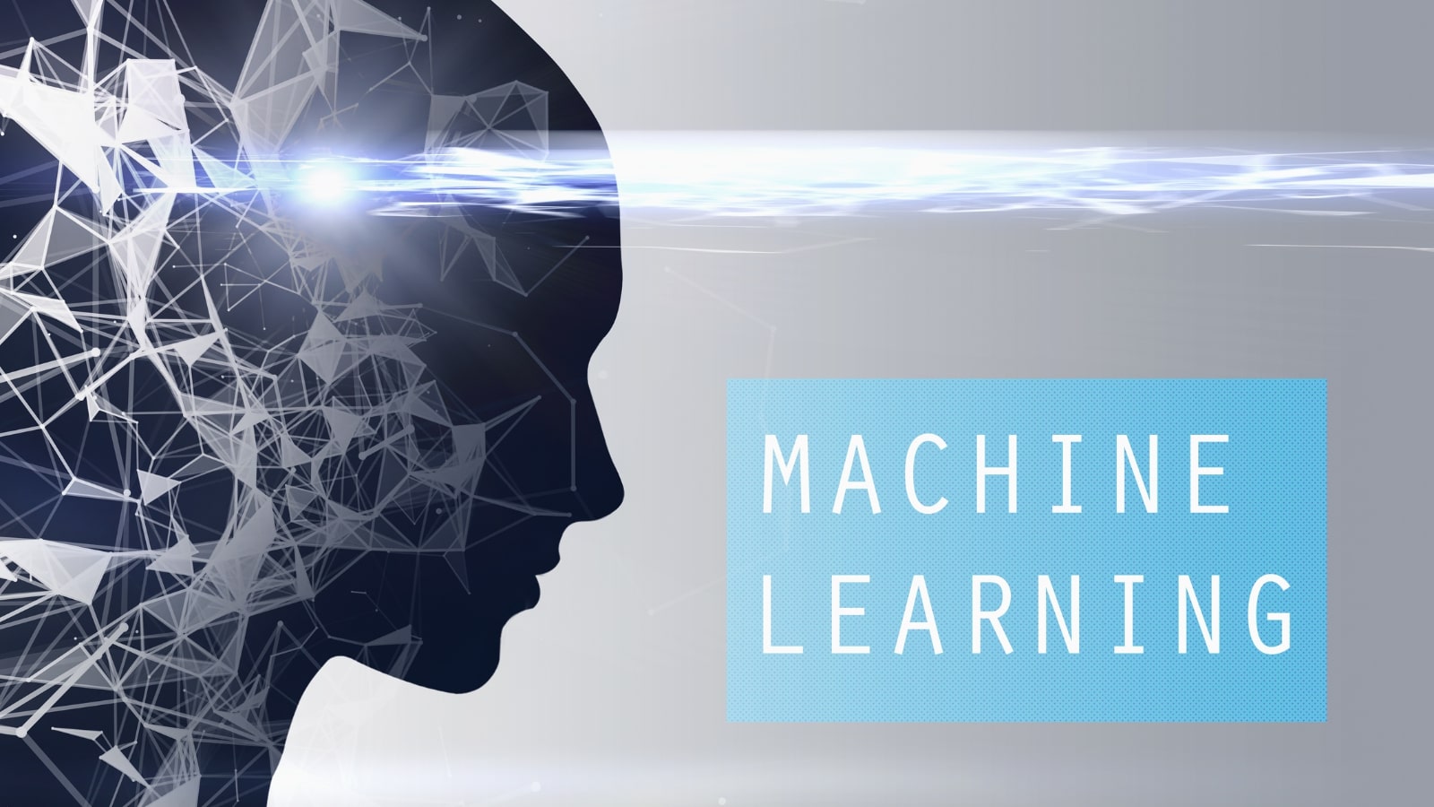 Silhouette of woman head with network hologram and word machine learning.