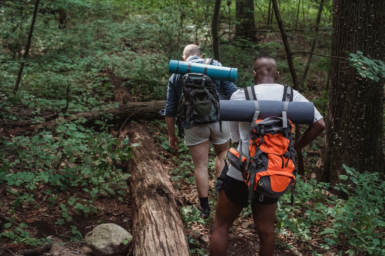 Two men walking up the forest with hiking bags
