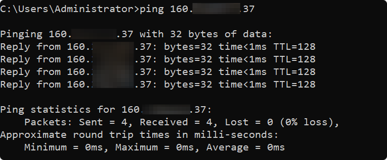 screenshot of Ping Test results