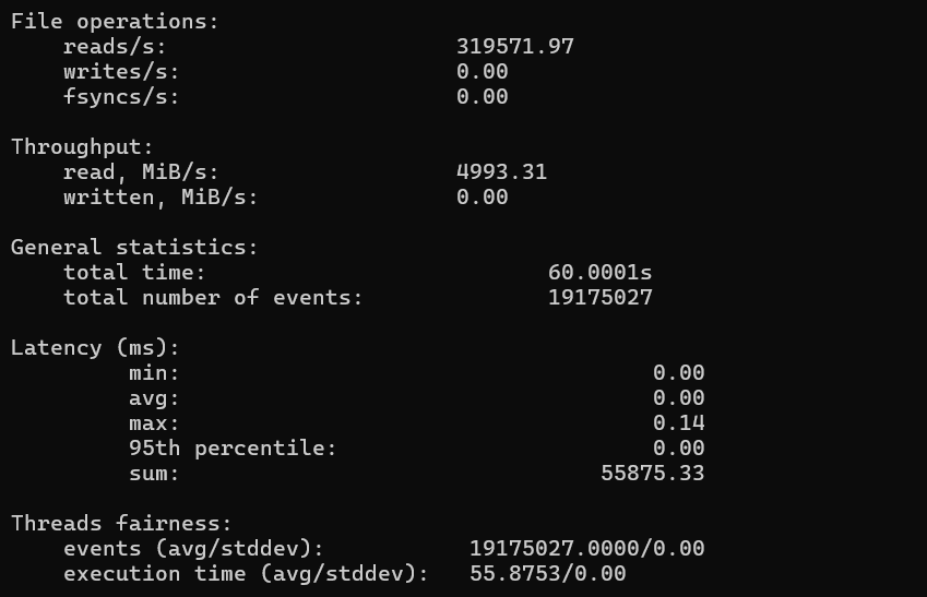 Disk Read/Write Performance Test result