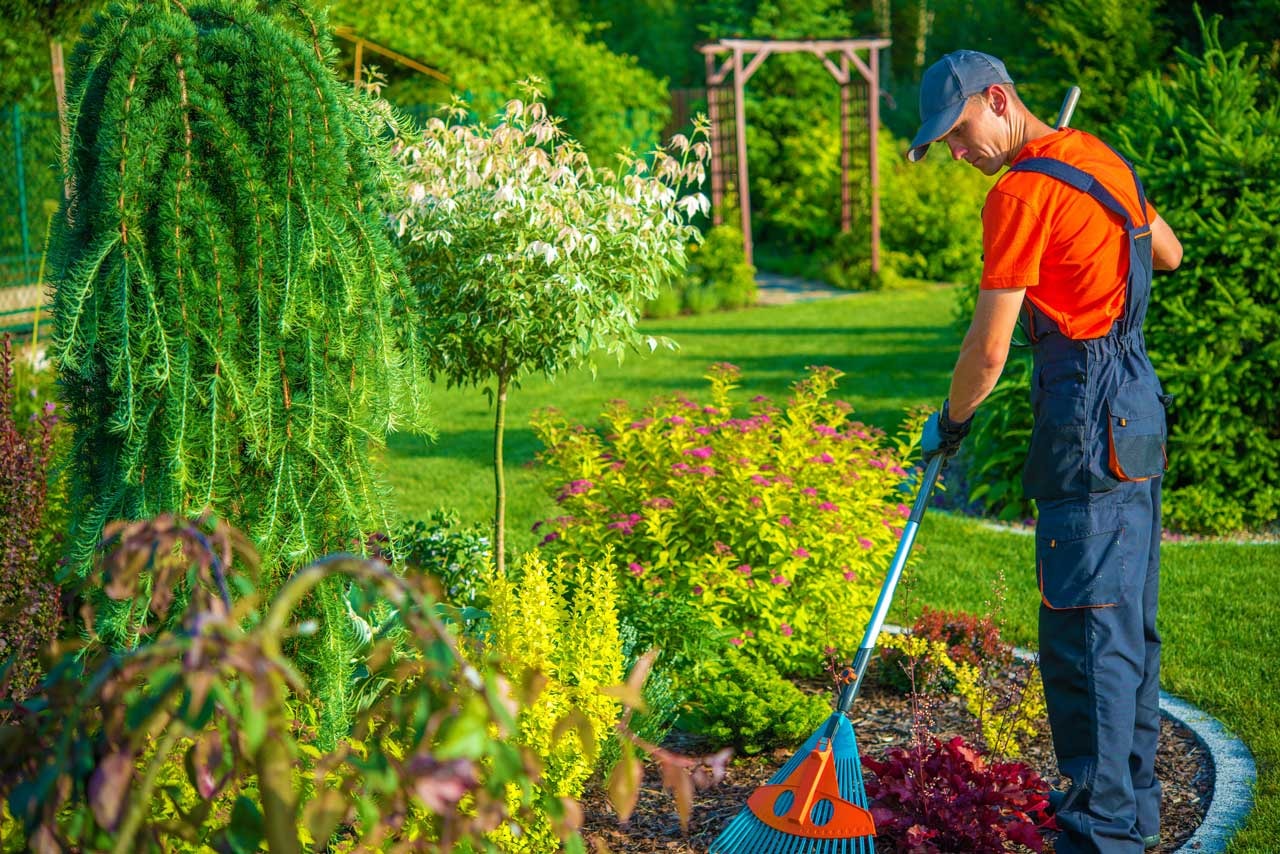 A person doing landscaping