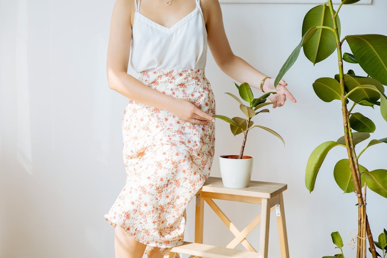 A woman setting a potted plant on a stand