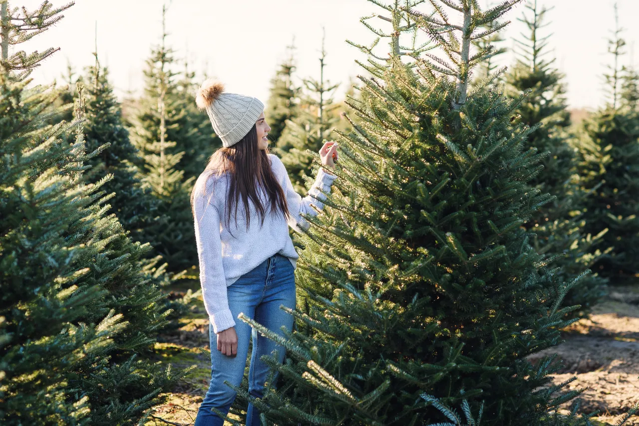 A women in a Christmas tree farm