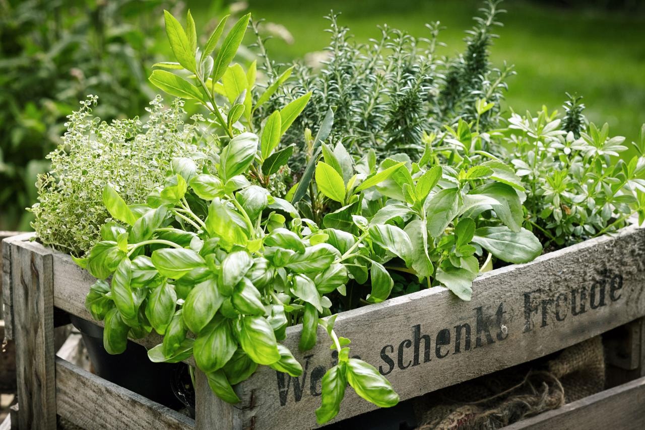 Herbs and spices