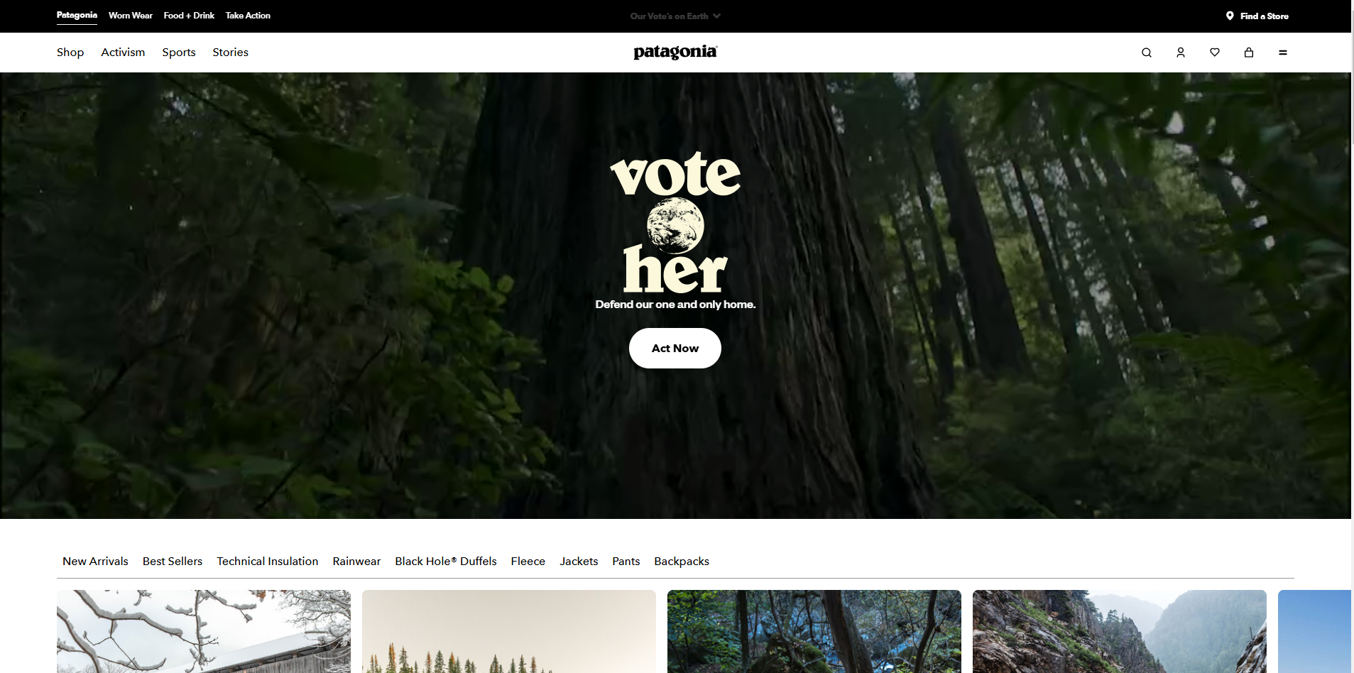 Patagonia's website homepage.