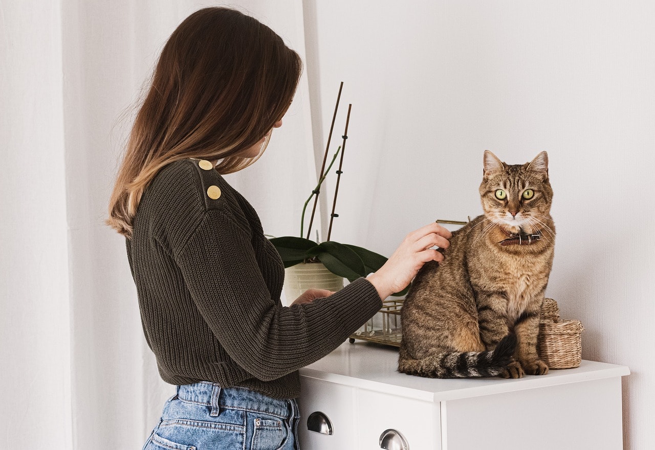 Pet grooming