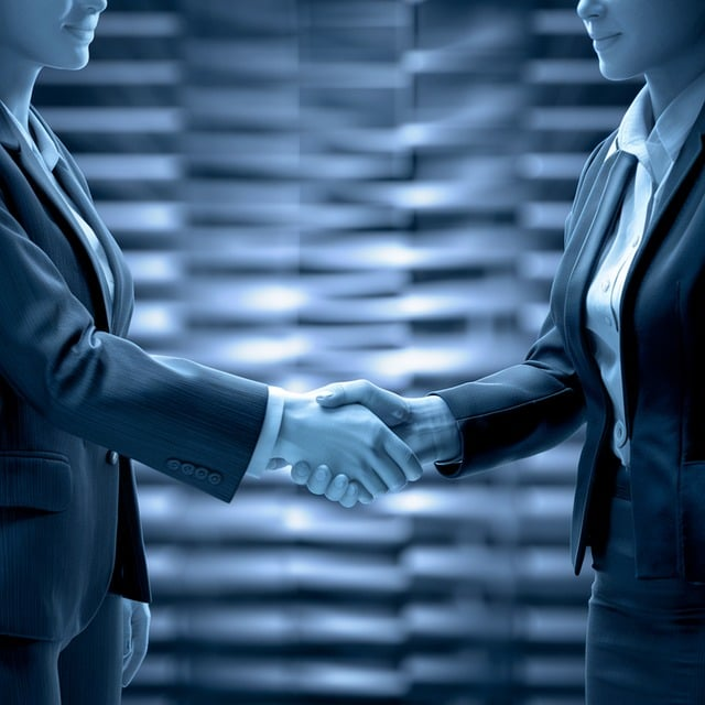 Two businessmen shaking hands.