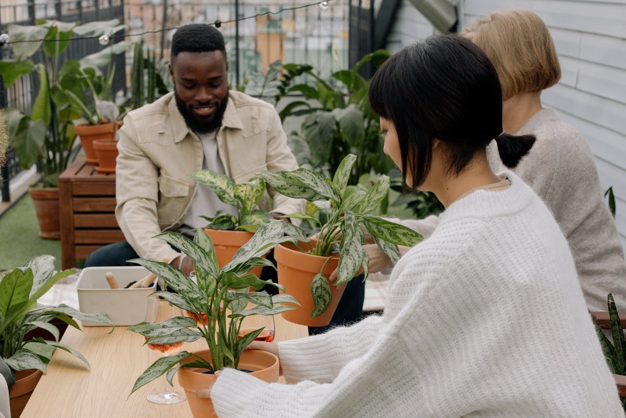 Staff putting plants in brown pots