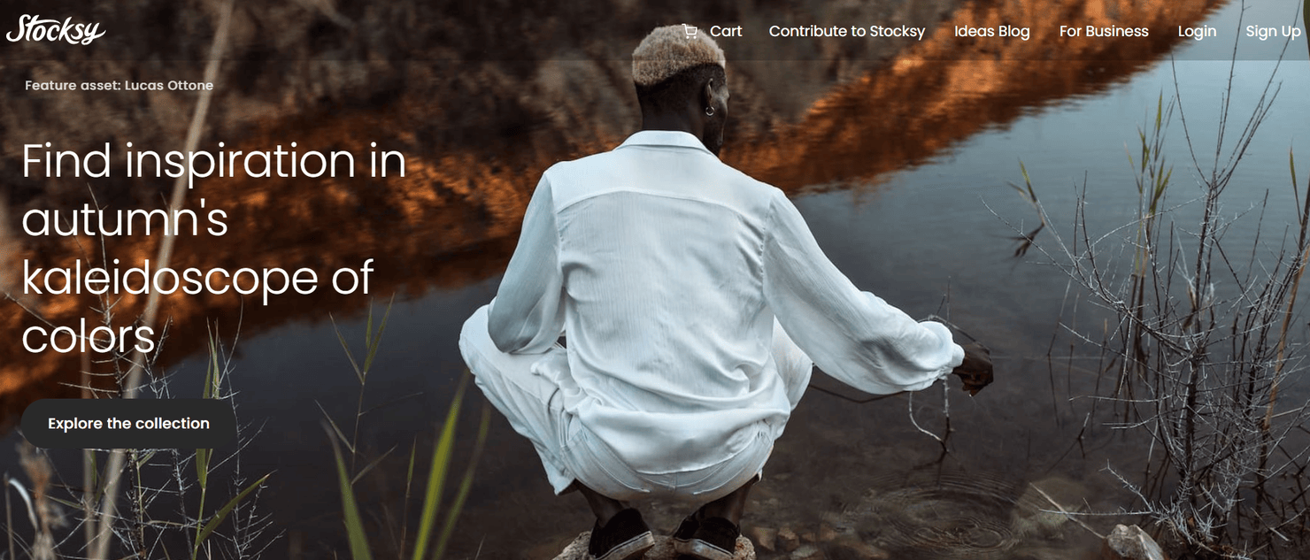 Stocksy website homepage.