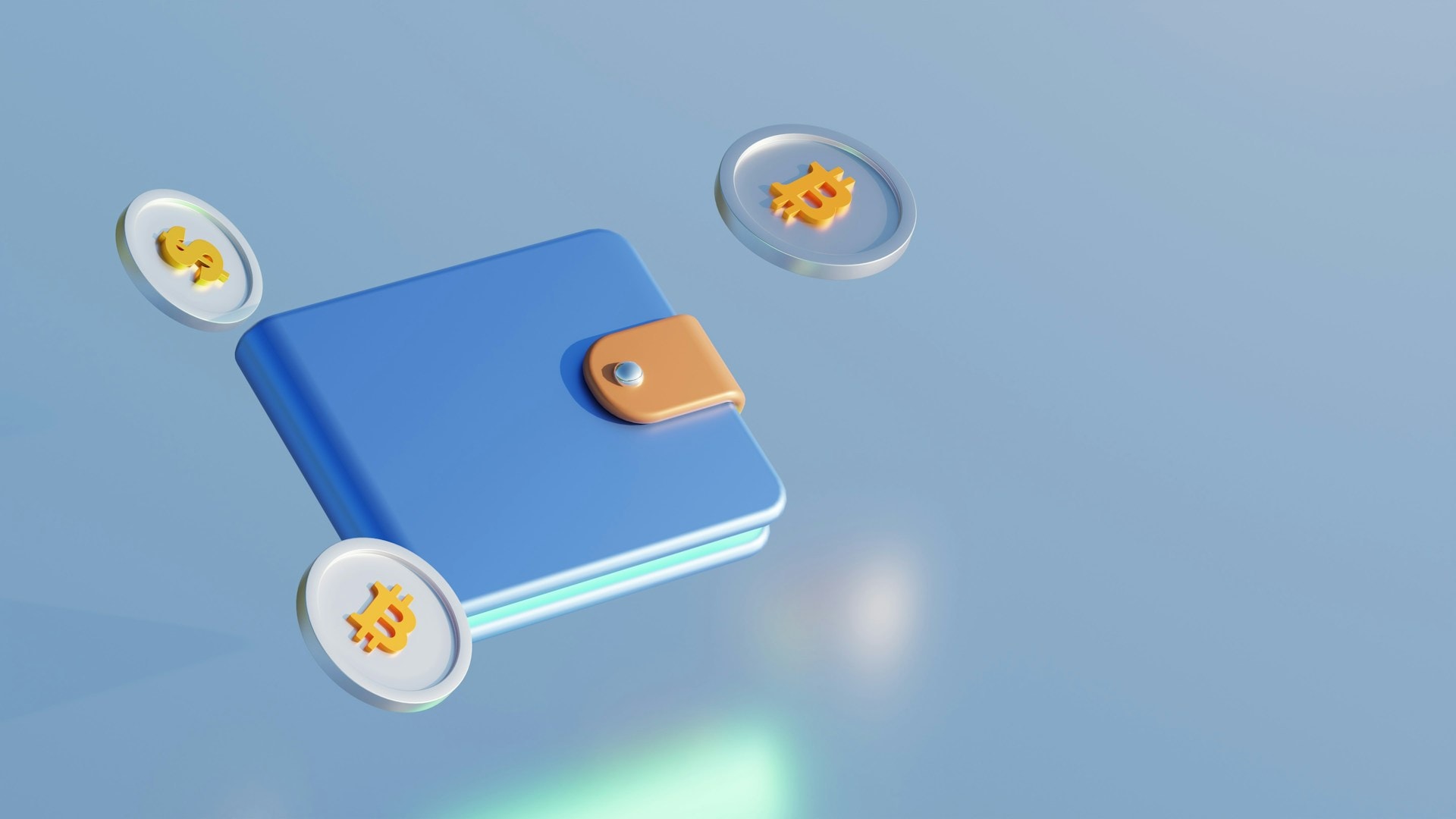 Wallet and bitcoins