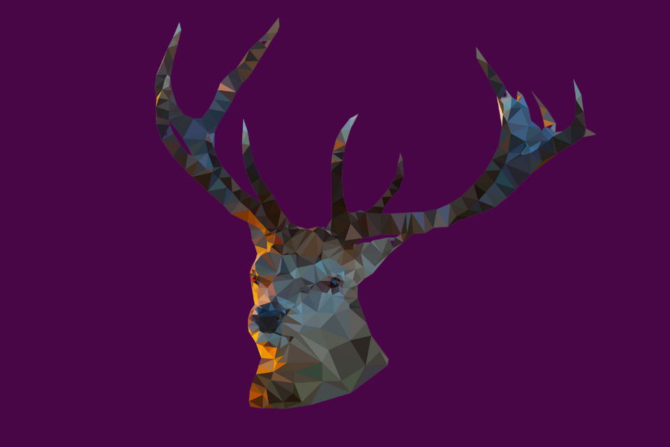 Polygonal Dear Head pattern.