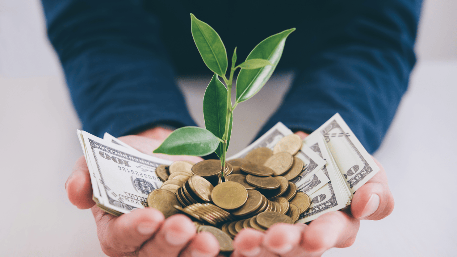 Hands of businessman holding with money with plant sprout.