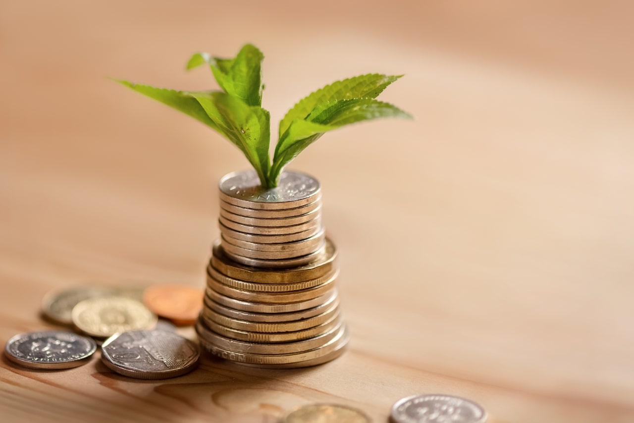 A small sprouting plant is growing from a pile of coins.