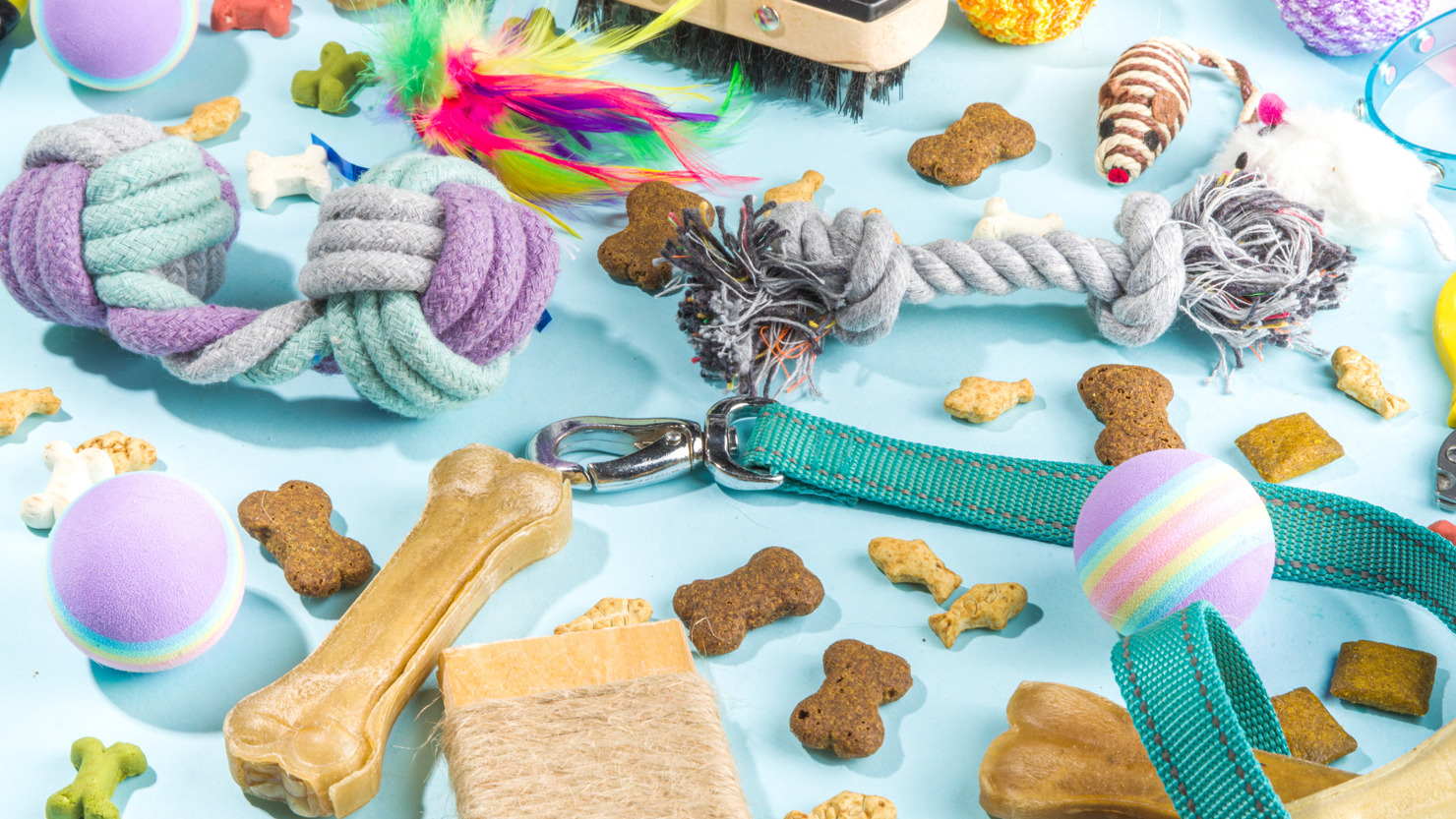 Pet food and accessories scattered on floor.