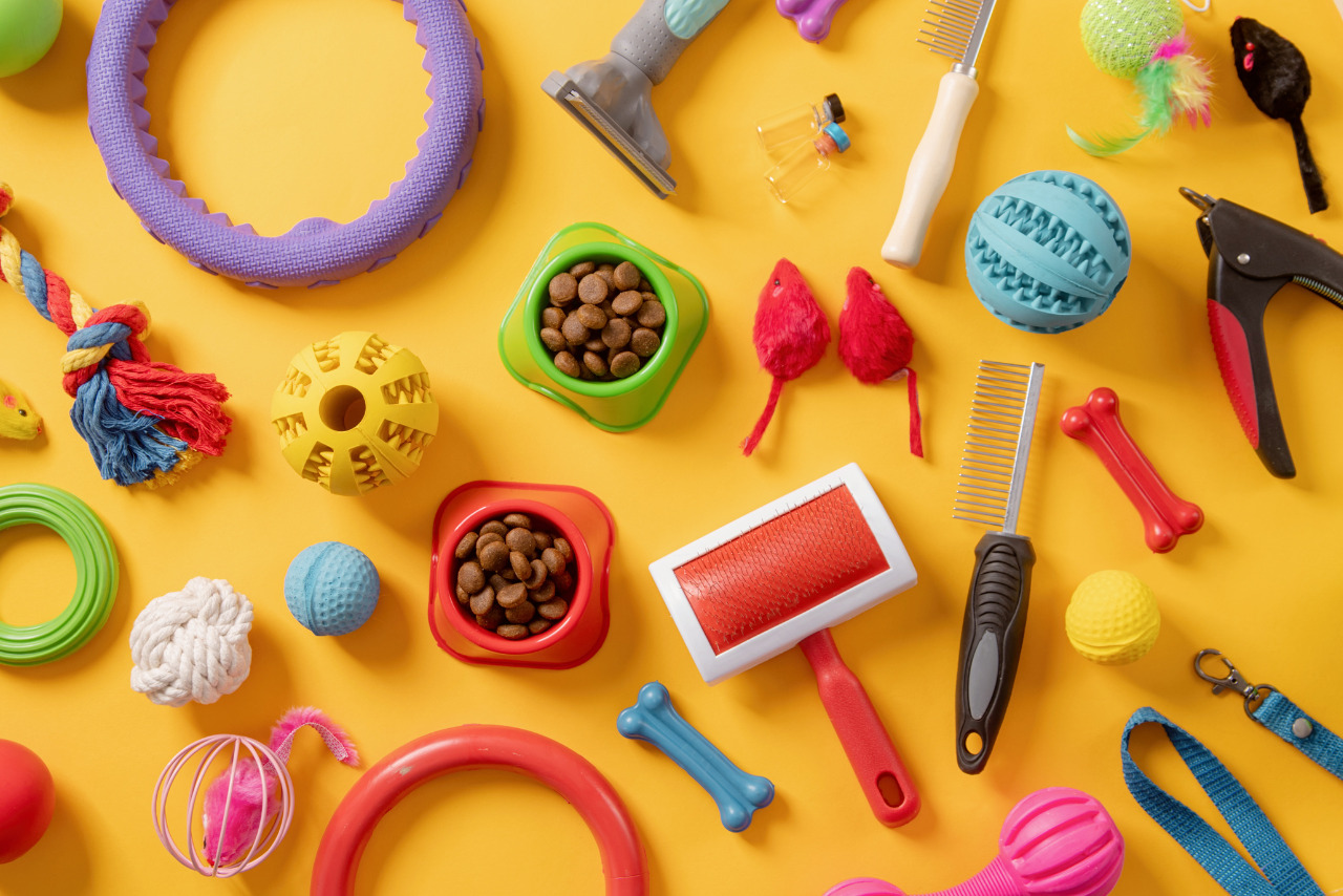 Various pet accessories perfectly arranged on yellow floor.