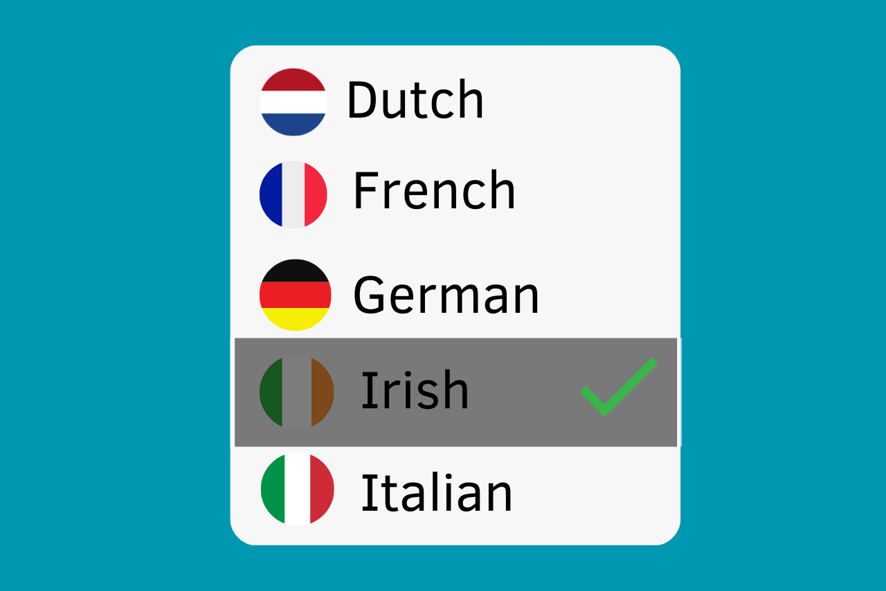 Using flags to indicate language option.