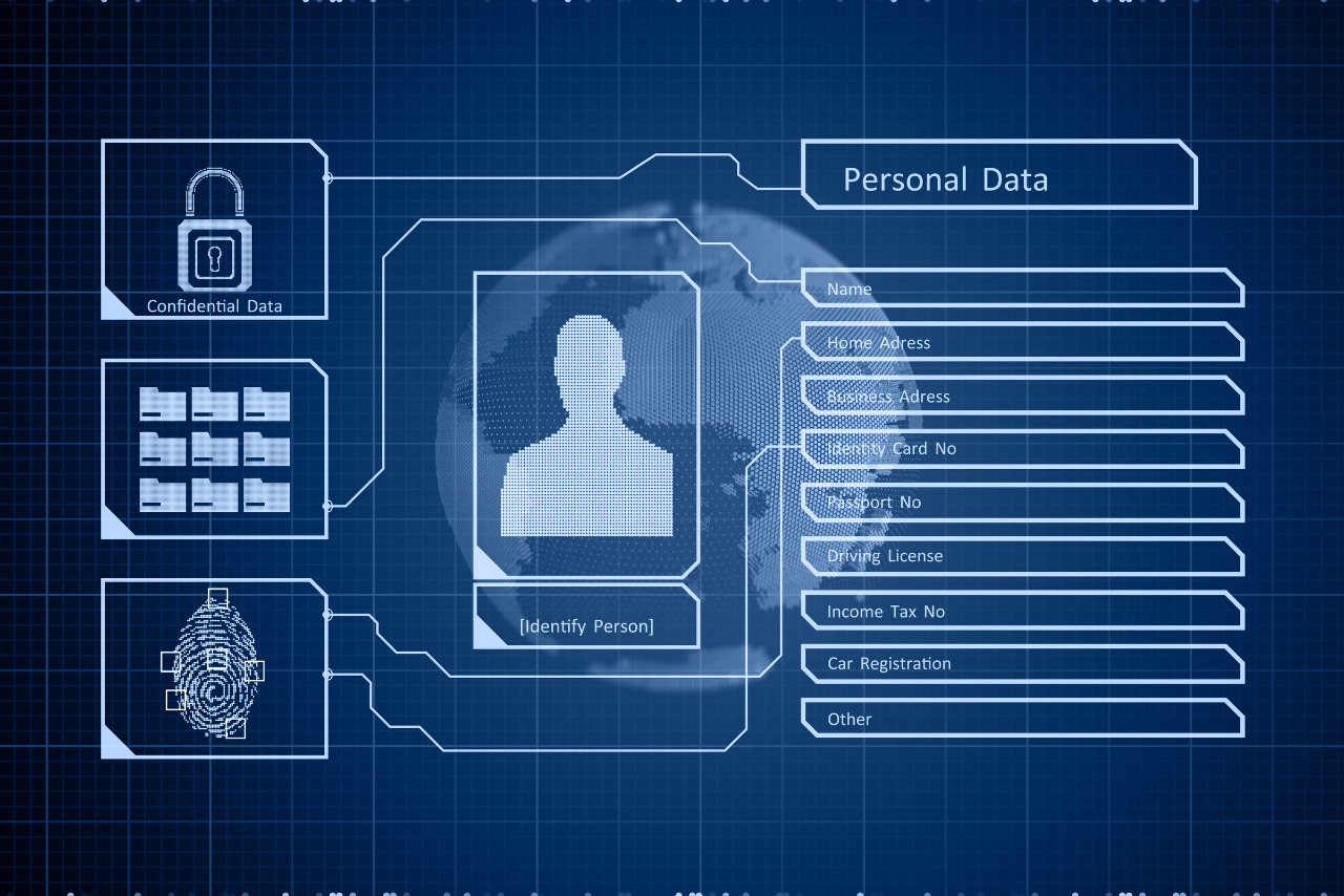 Person identity concept with touch screen biometrics.