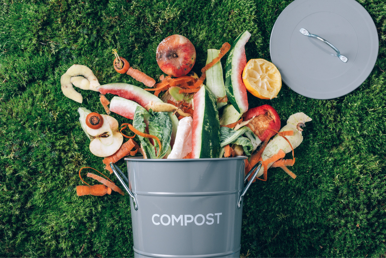 Organic Food Waste from Vegetable Ready for Composting.