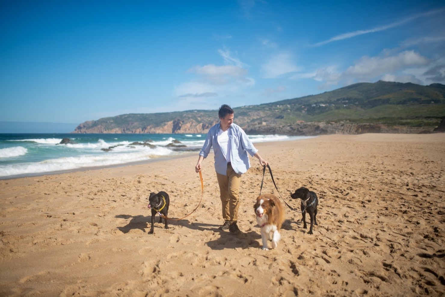 A man walking his dogs at the beach