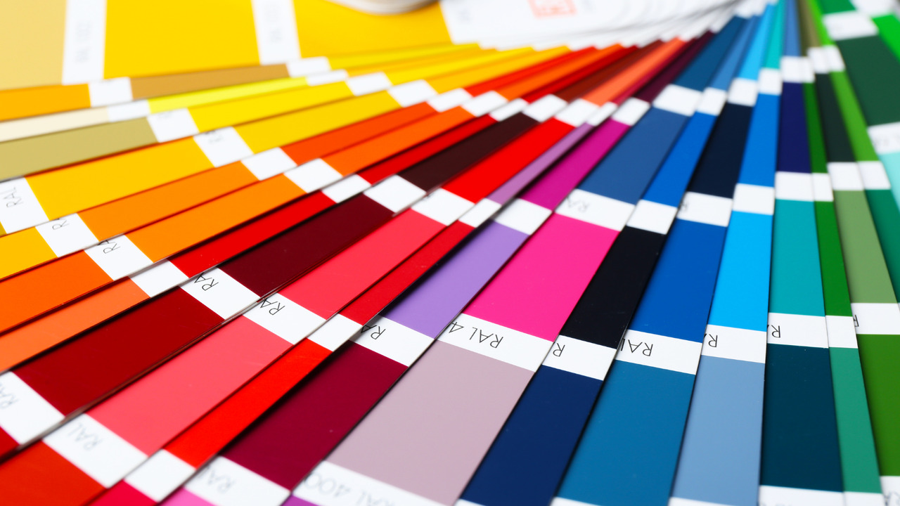 Close-up of color palette samples.