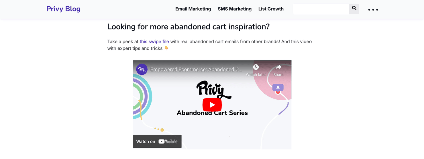 A blog post on Privy with a video