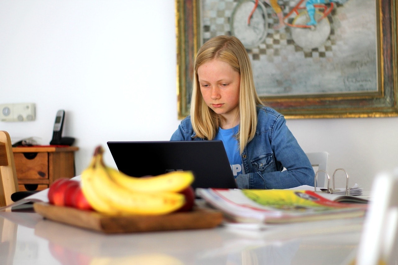 A learner taking an online class.