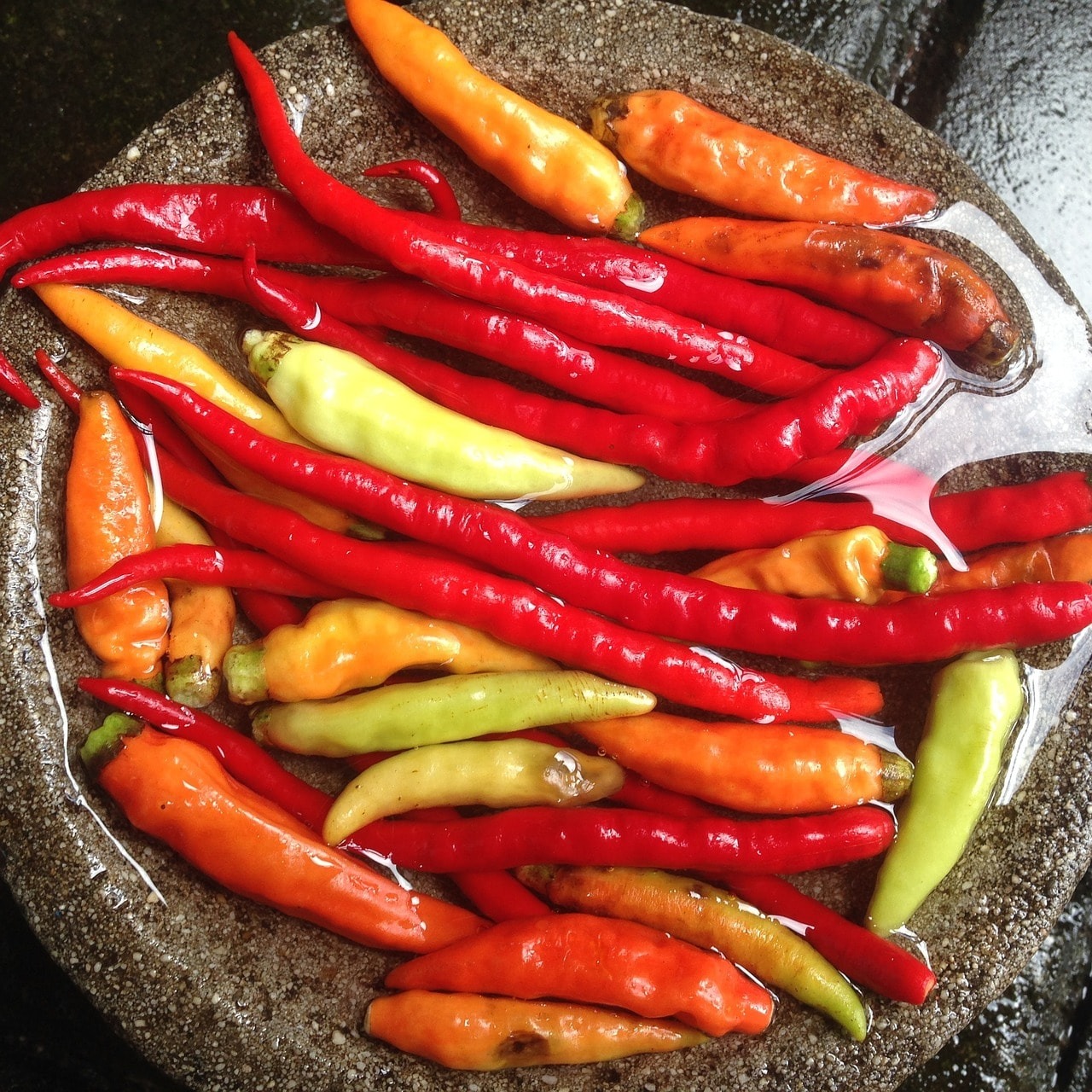 Chillies for making chilli sauce.