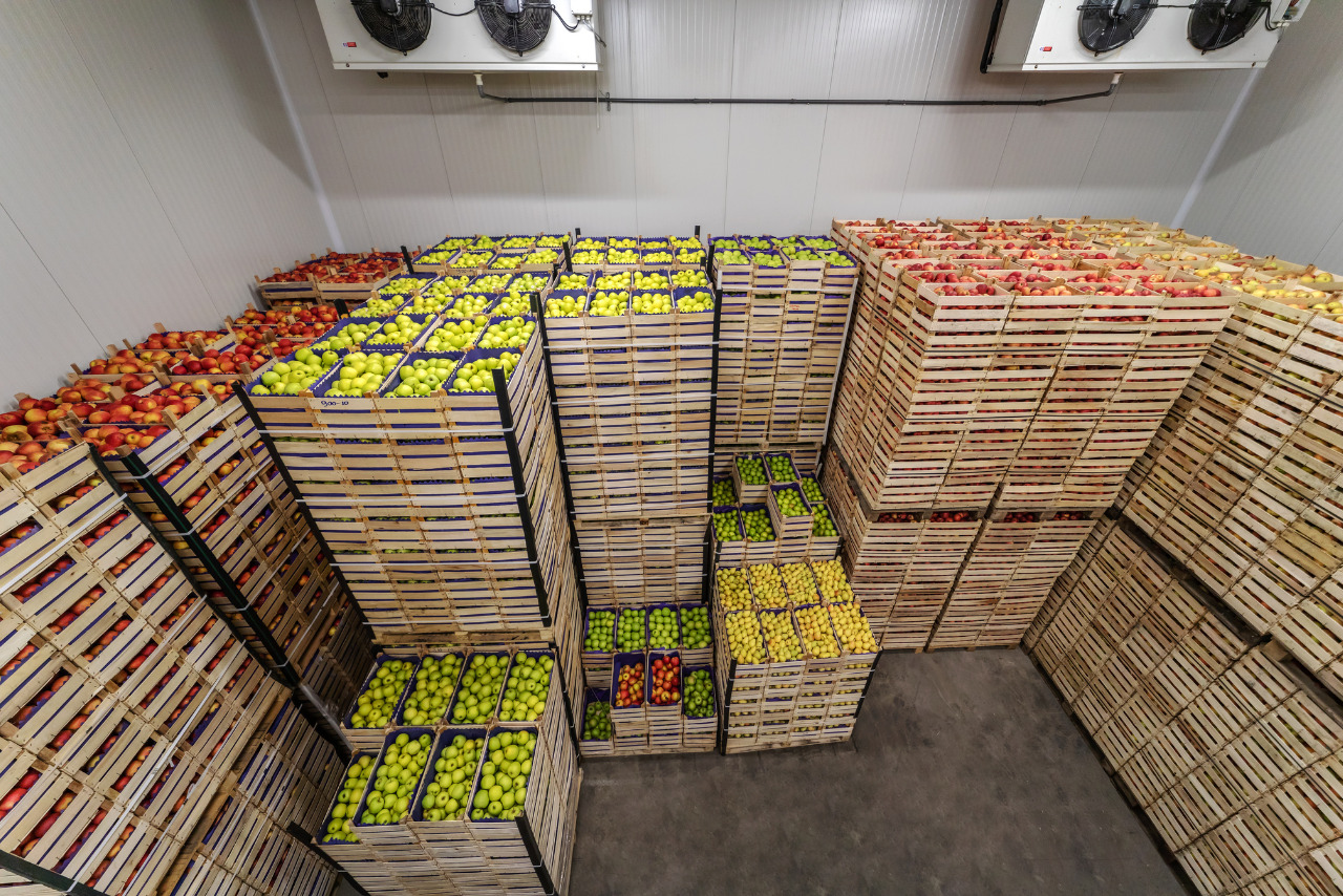Fruits in crates ready for shipping.