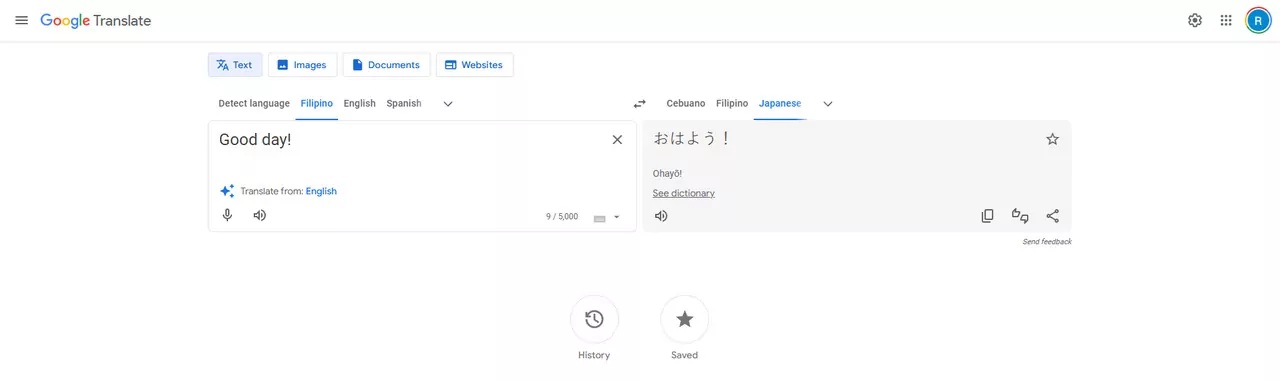 Google translate's website.