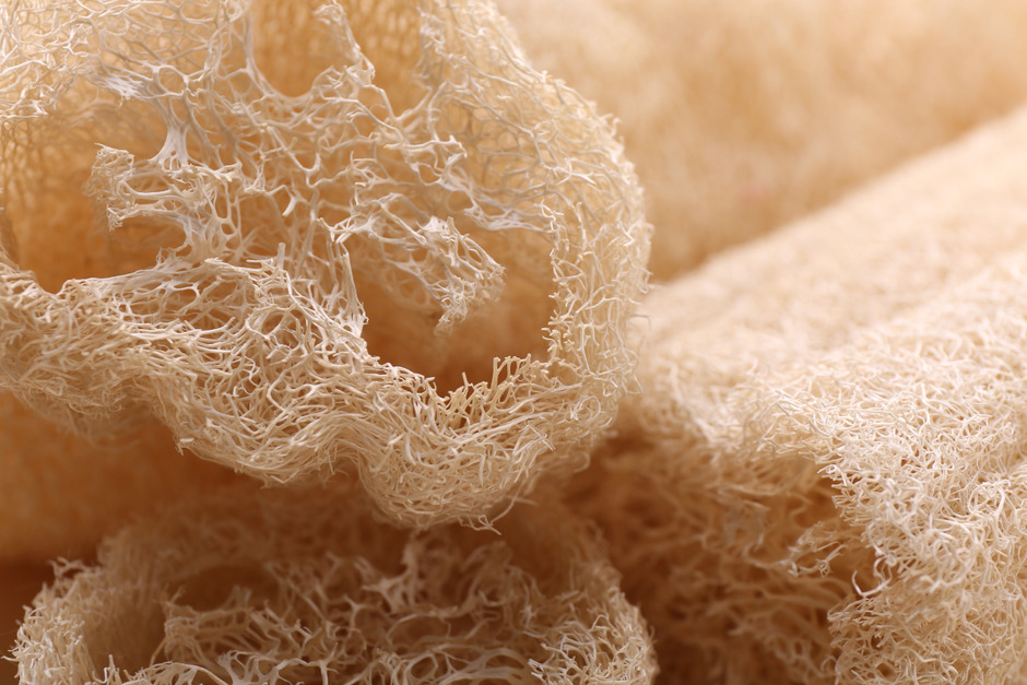 Natural loofah sponges closeup view.