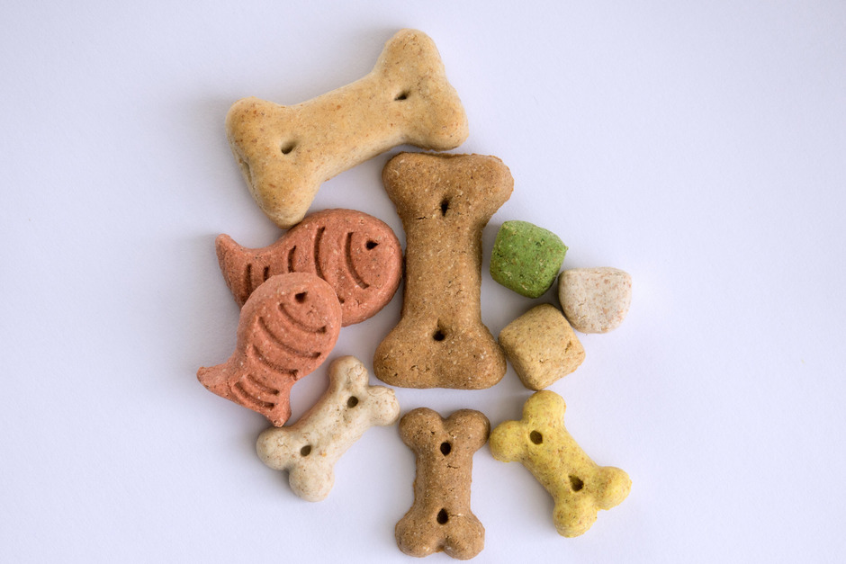 Variety of treat shapes: fish, bone, and square.