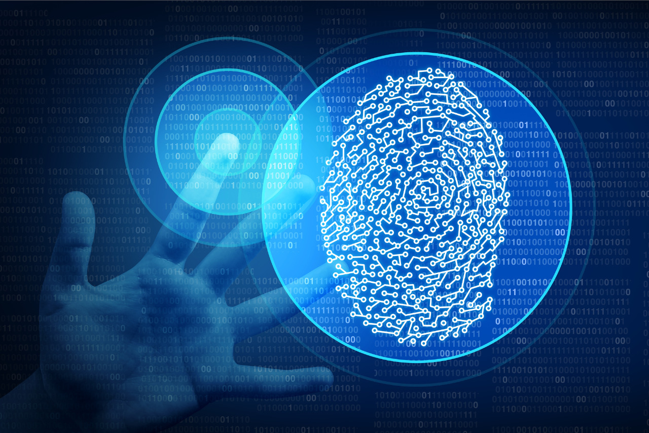 Biometric Identity.