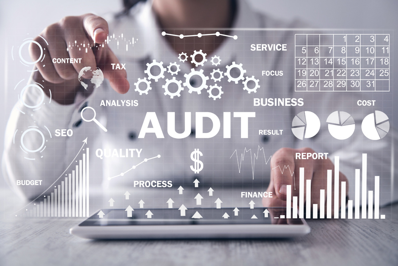Female doing website auditing.