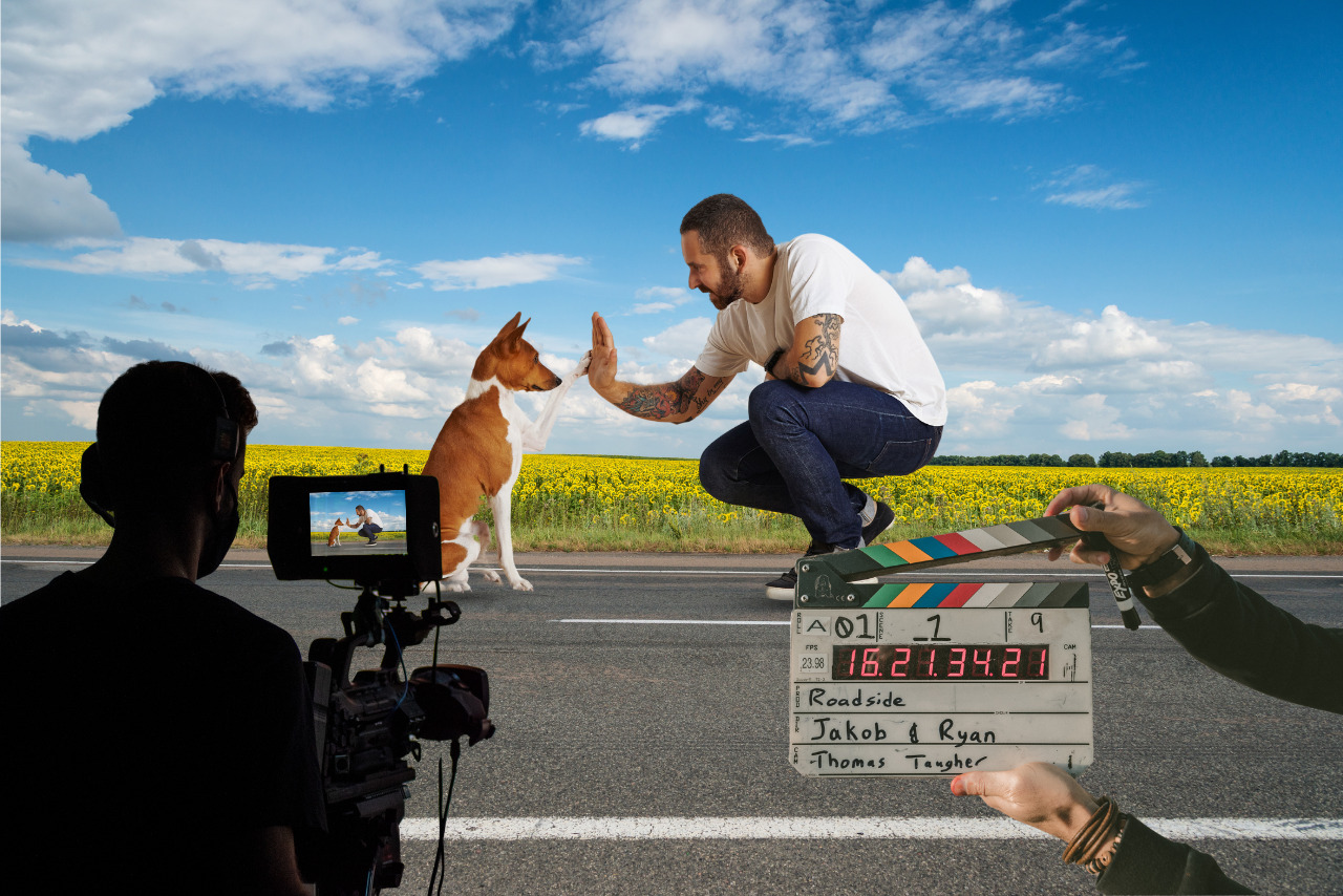 A dog trainer gives a high five to a pet while being recorded.