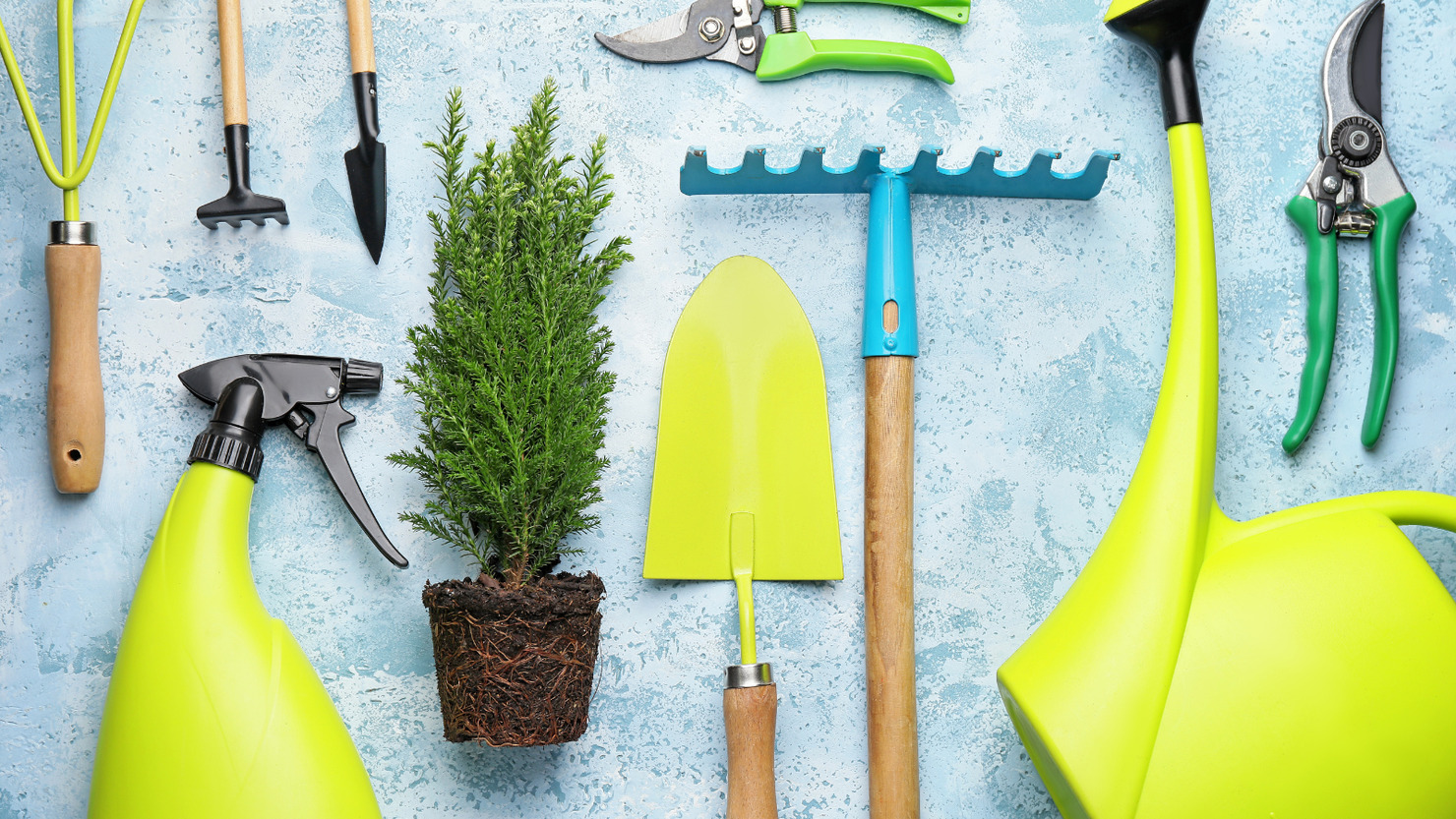 Set of gardening supplies with plant on color background.