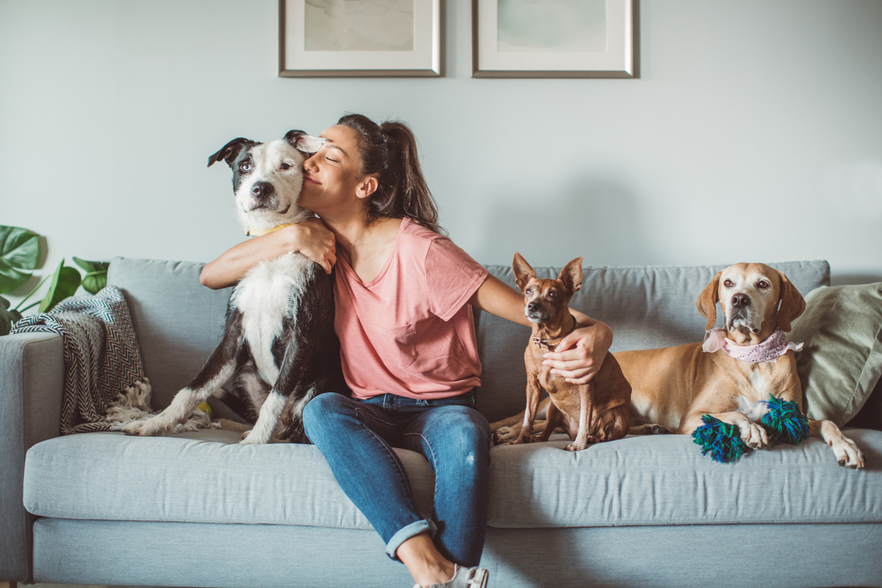 A female pet sitter cares for three dogs in a home setting.