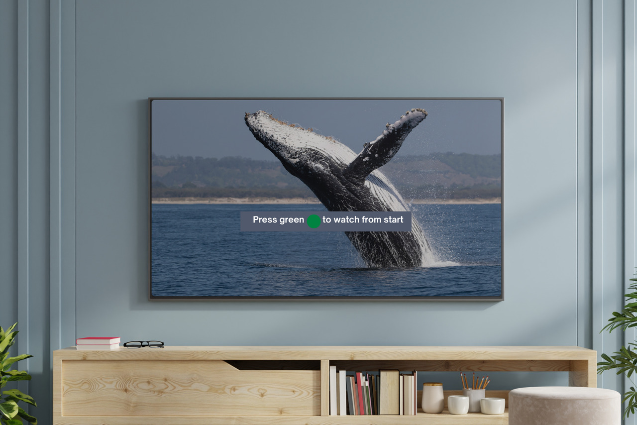 TV screen showing a whale show on schedule, with the option to play from the start anytime.